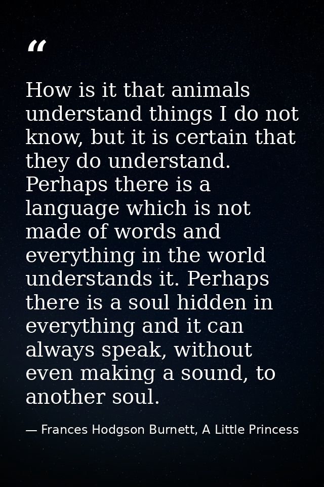 How is it that animals understand things I do not know, but it is certain that they do understand. Perhaps there is a la — Frances Hodgson Burnett, A Little Princess