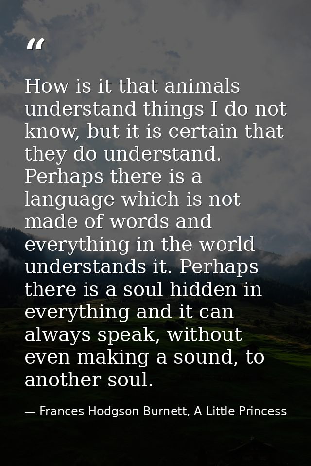 How is it that animals understand things I do not know, but it is certain that they do understand. Perhaps there is a la — Frances Hodgson Burnett, A Little Princess