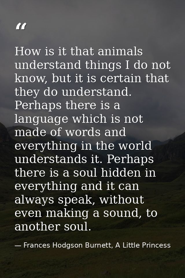 How is it that animals understand things I do not know, but it is certain that they do understand. Perhaps there is a la — Frances Hodgson Burnett, A Little Princess