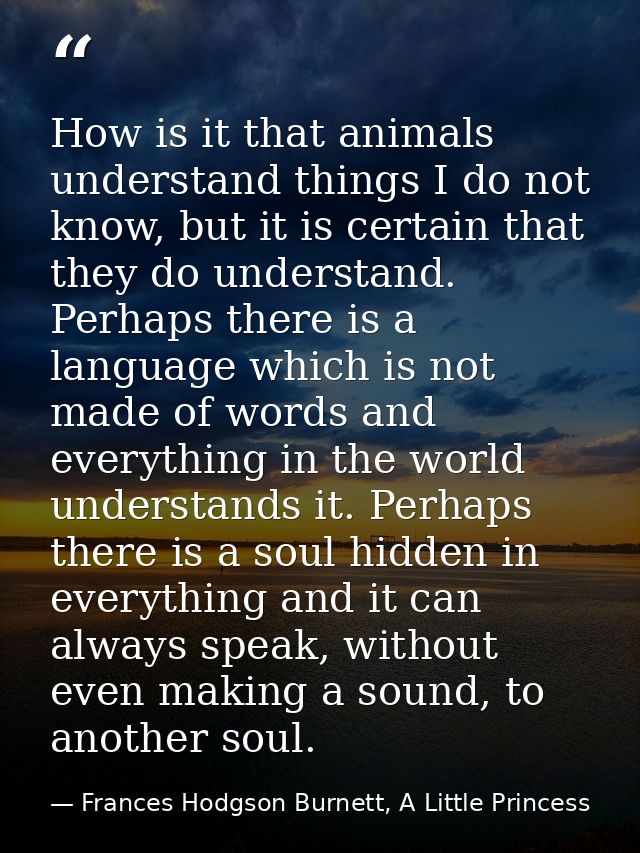 How is it that animals understand things I do not know, but it is certain that they do understand. Perhaps there is a la — Frances Hodgson Burnett, A Little Princess