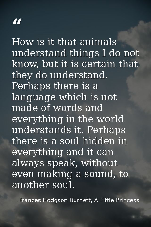 How is it that animals understand things I do not know, but it is certain that they do understand. Perhaps there is a la — Frances Hodgson Burnett, A Little Princess