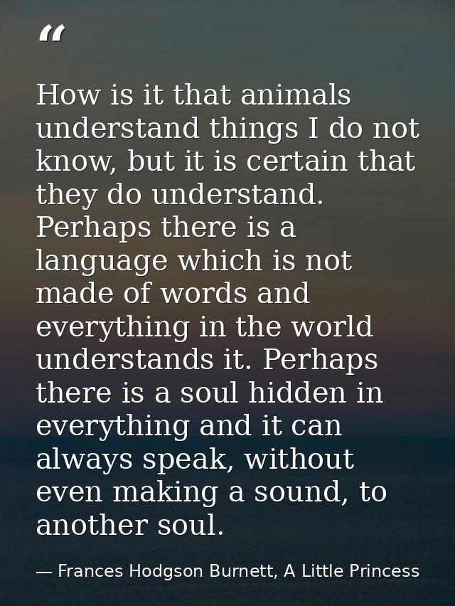 How is it that animals understand things I do not know, but it is certain that they do understand. Perhaps there is a la — Frances Hodgson Burnett, A Little Princess