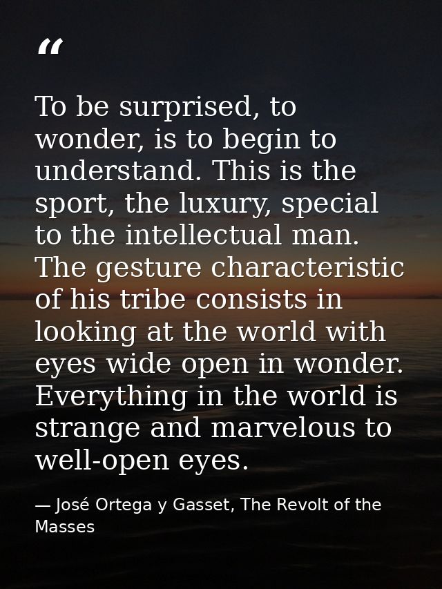 To be surprised, to wonder, is to begin to understand. This is the sport, the luxury, special to the intellectual man. T — José Ortega y Gasset, The Revolt of the Masses