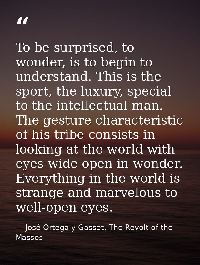 To be surprised, to wonder, is to begin to understand. This is the sport, the luxury, special to the intellectual man. T — José Ortega y Gasset, The Revolt of the Masses
