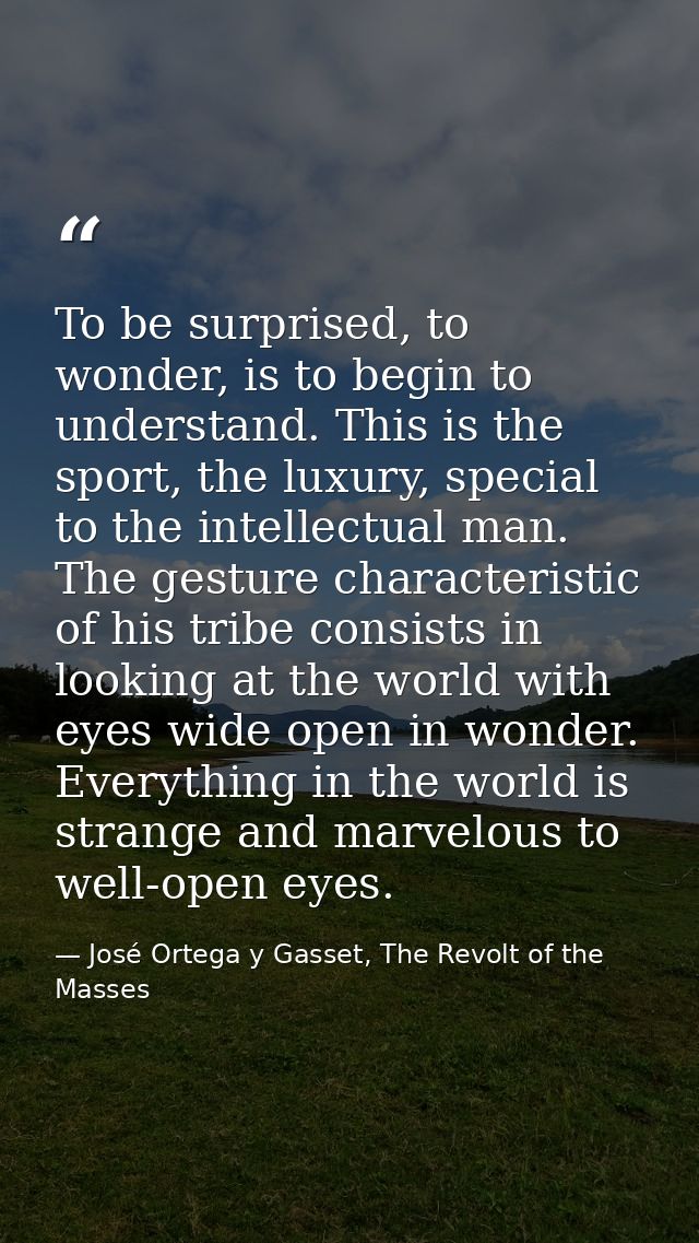 To be surprised, to wonder, is to begin to understand. This is the sport, the luxury, special to the intellectual man. T — José Ortega y Gasset, The Revolt of the Masses