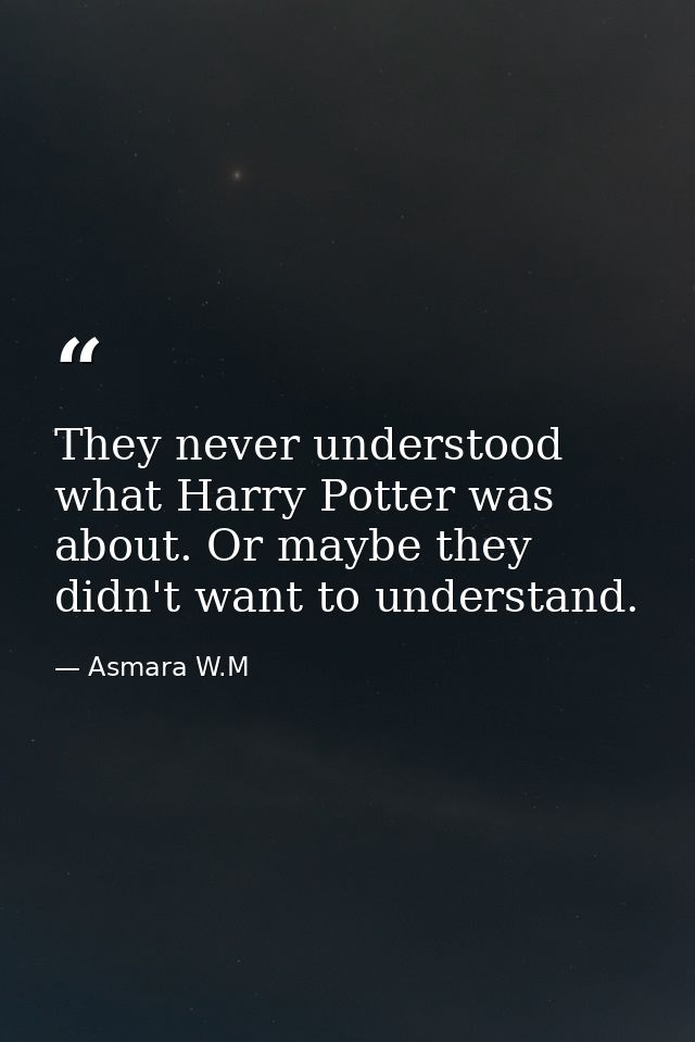 They never understood what Harry Potter was about. Or maybe they didn't want to understand. — Asmara W.M