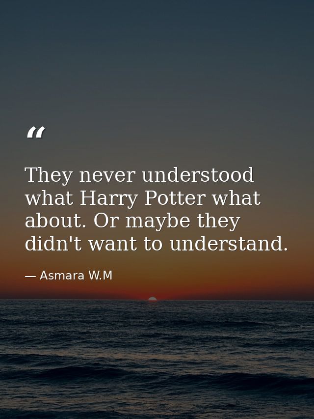 They never understood what Harry Potter what about. Or maybe they didn't want to understand. — Asmara W.M