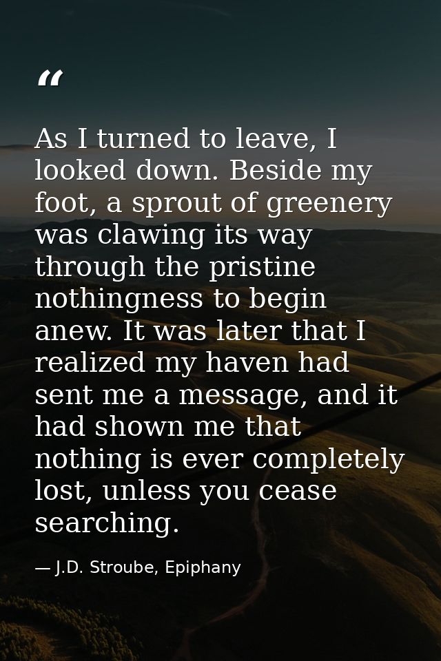 As I turned to leave, I looked down. Beside my foot, a sprout of greenery was clawing its way through the pristine nothi — J.D. Stroube, Epiphany