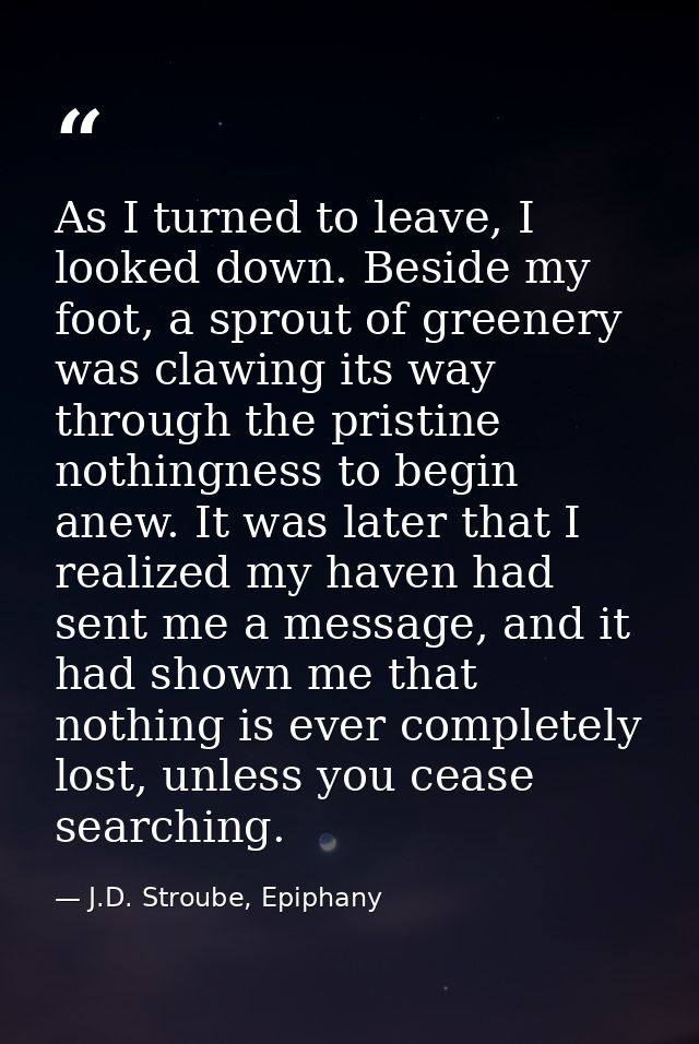 As I turned to leave, I looked down. Beside my foot, a sprout of greenery was clawing its way through the pristine nothi — J.D. Stroube, Epiphany
