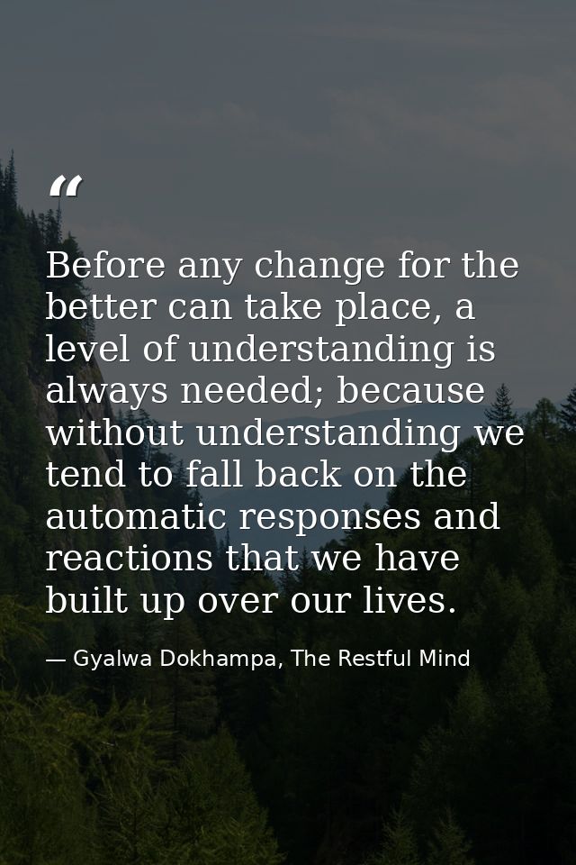Before any change for the better can take place, a level of understanding is always needed; because without understandin — Gyalwa Dokhampa, The Restful Mind