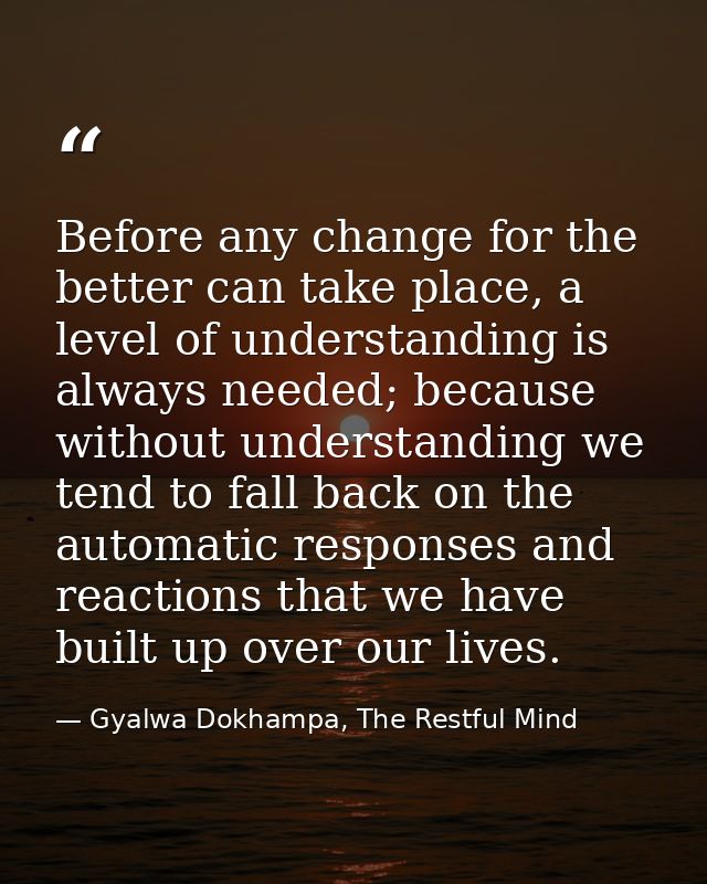 Before any change for the better can take place, a level of understanding is always needed; because without understandin — Gyalwa Dokhampa, The Restful Mind