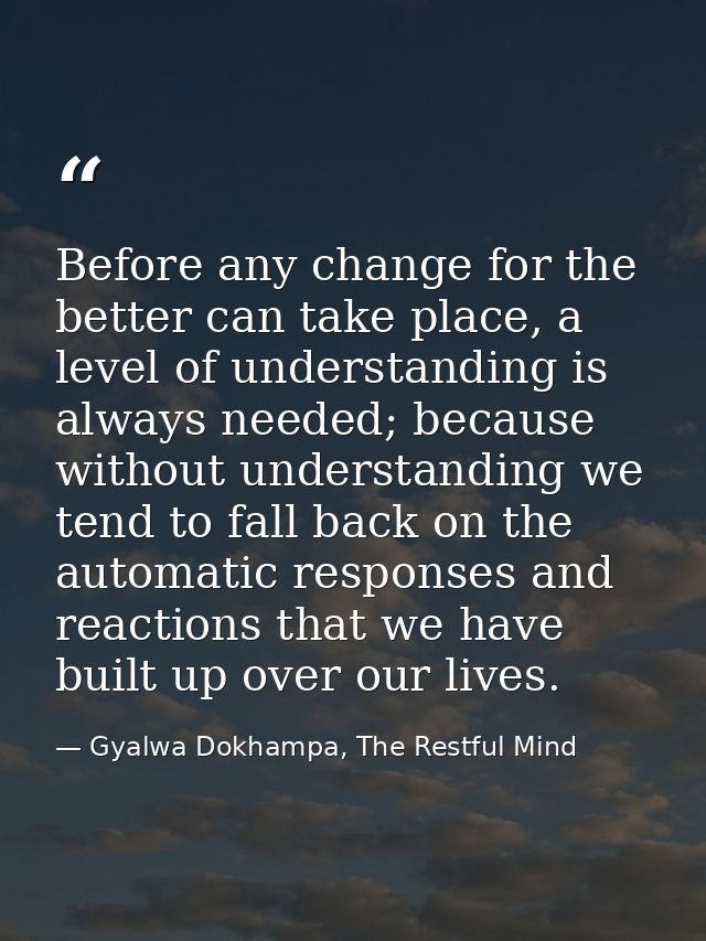 Before any change for the better can take place, a level of understanding is always needed; because without understandin — Gyalwa Dokhampa, The Restful Mind