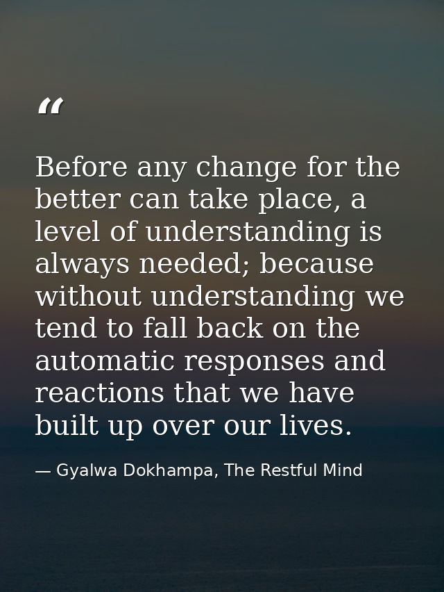 Before any change for the better can take place, a level of understanding is always needed; because without understandin — Gyalwa Dokhampa, The Restful Mind