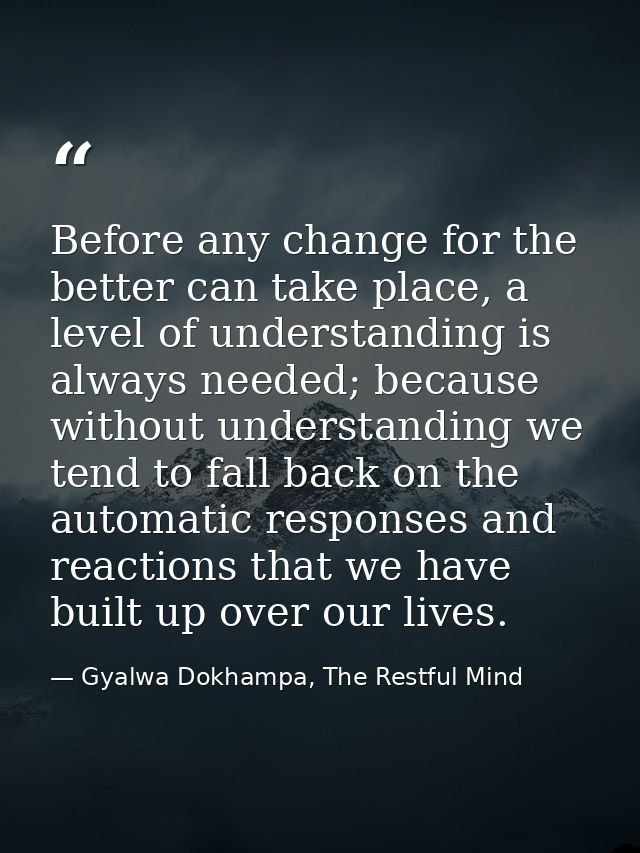 Before any change for the better can take place, a level of understanding is always needed; because without understandin — Gyalwa Dokhampa, The Restful Mind