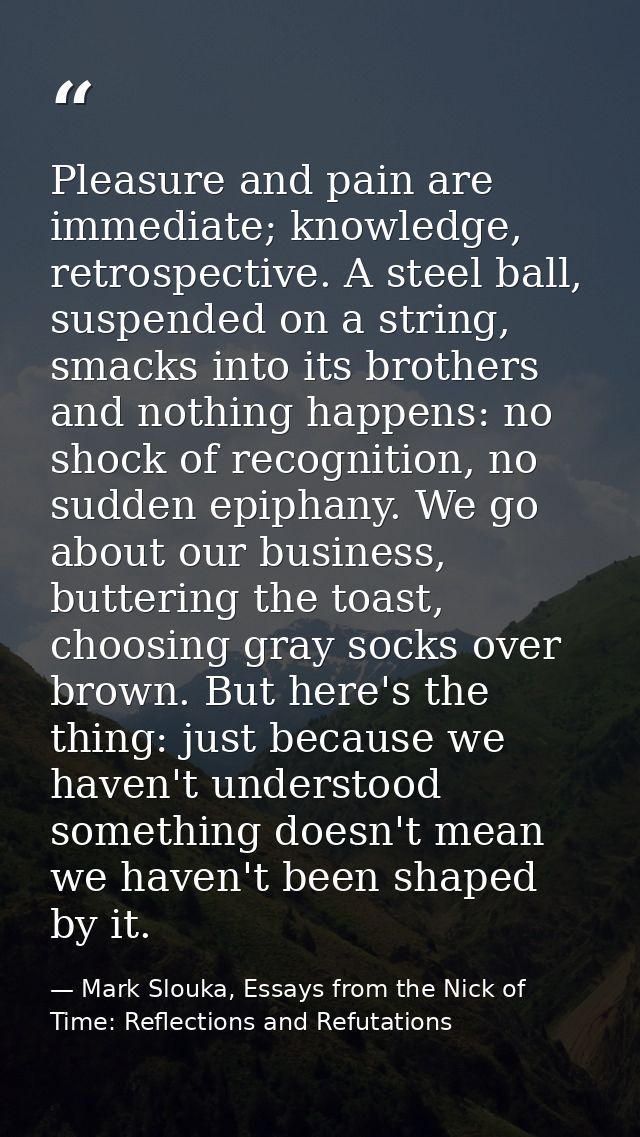 Pleasure and pain are immediate; knowledge, retrospective. A steel ball, suspended on a string, smacks into its brothers — Mark Slouka, Essays from the Nick of Time: Reflections and Refutations