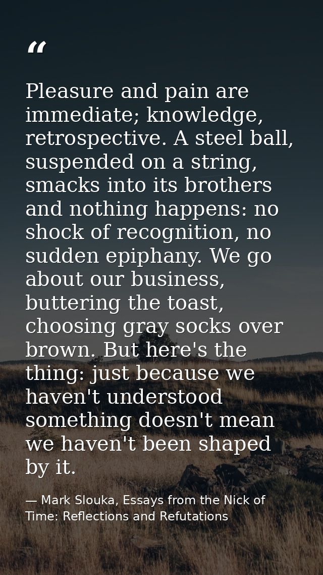 Pleasure and pain are immediate; knowledge, retrospective. A steel ball, suspended on a string, smacks into its brothers — Mark Slouka, Essays from the Nick of Time: Reflections and Refutations