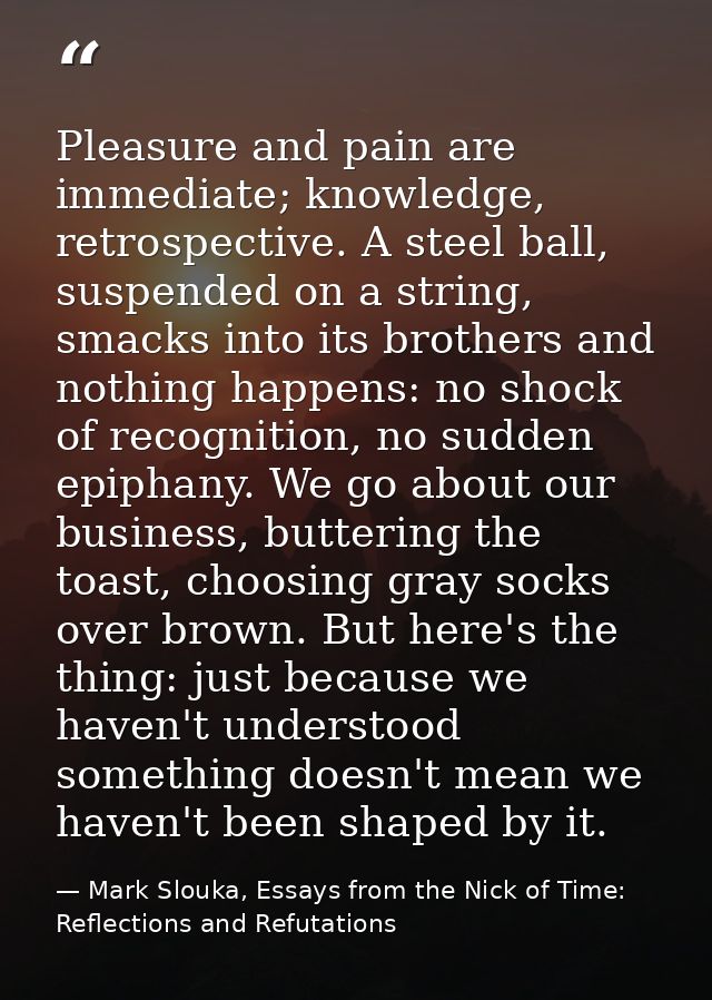 Pleasure and pain are immediate; knowledge, retrospective. A steel ball, suspended on a string, smacks into its brothers — Mark Slouka, Essays from the Nick of Time: Reflections and Refutations