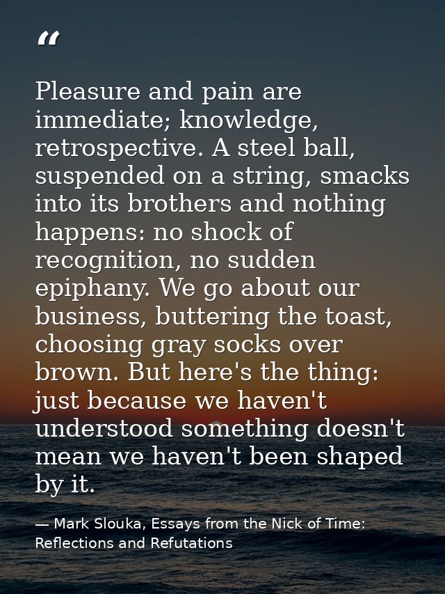 Pleasure and pain are immediate; knowledge, retrospective. A steel ball, suspended on a string, smacks into its brothers — Mark Slouka, Essays from the Nick of Time: Reflections and Refutations