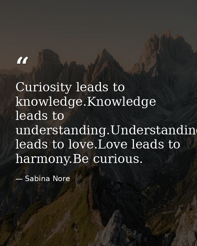 Curiosity leads to knowledge.Knowledge leads to understanding.Understanding leads to love.Love leads to harmony.Be curio — Sabina Nore