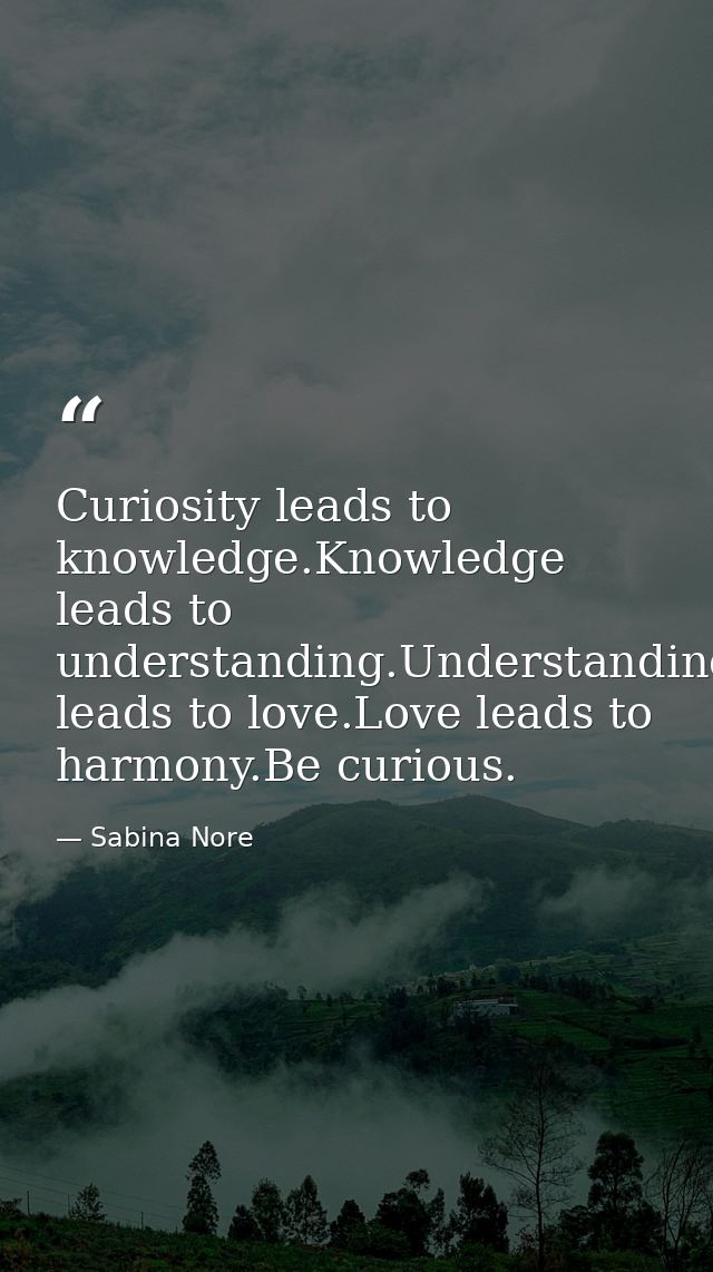 Curiosity leads to knowledge.Knowledge leads to understanding.Understanding leads to love.Love leads to harmony.Be curio — Sabina Nore