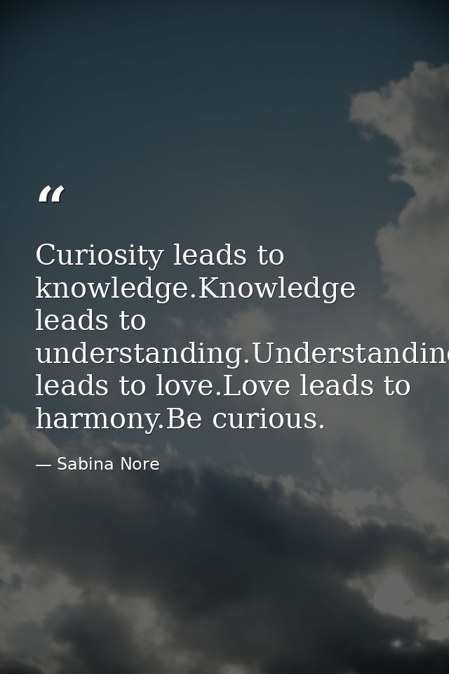 Curiosity leads to knowledge.Knowledge leads to understanding.Understanding leads to love.Love leads to harmony.Be curio — Sabina Nore