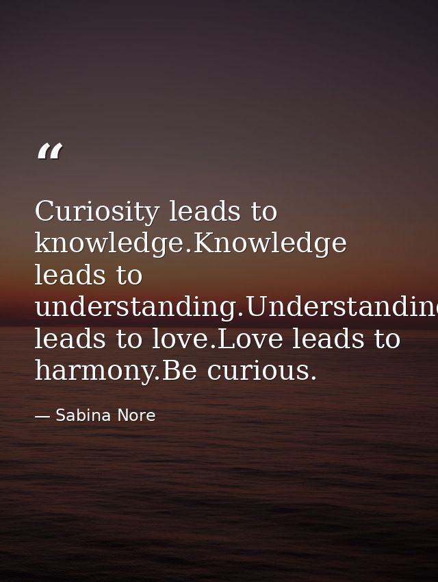 Curiosity leads to knowledge.Knowledge leads to understanding.Understanding leads to love.Love leads to harmony.Be curio — Sabina Nore