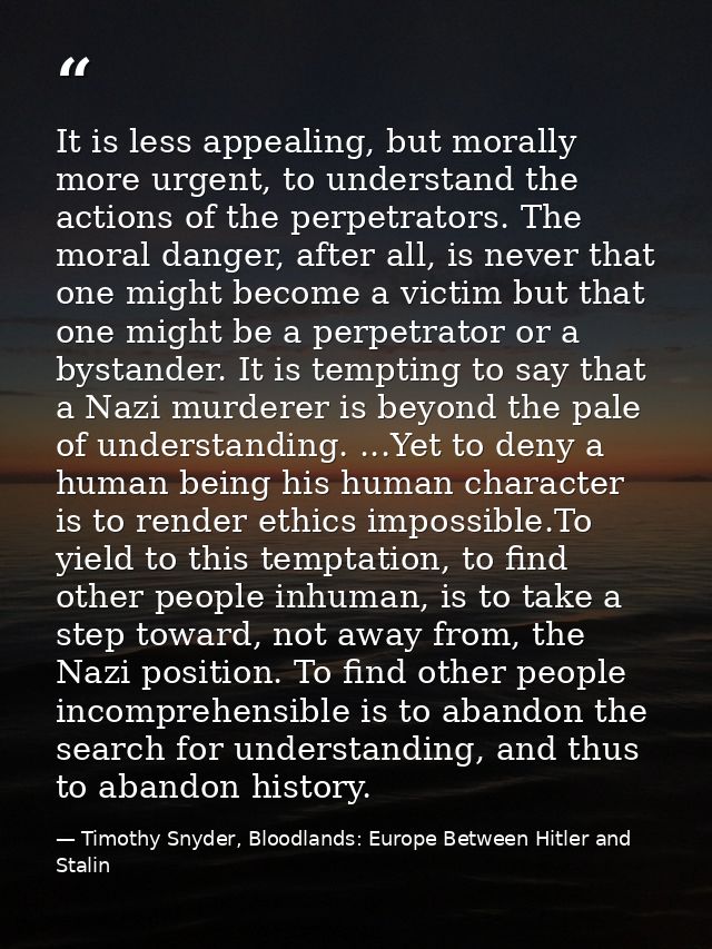 It is less appealing, but morally more urgent, to understand the actions of the perpetrators. The moral danger, after al — Timothy Snyder, Bloodlands: Europe Between Hitler and Stalin