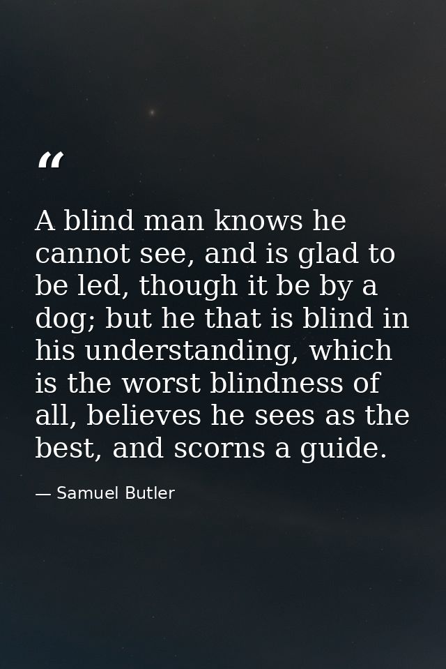 A blind man knows he cannot see, and is glad to be led, though it be by a dog; but he that is blind in his understanding — Samuel Butler