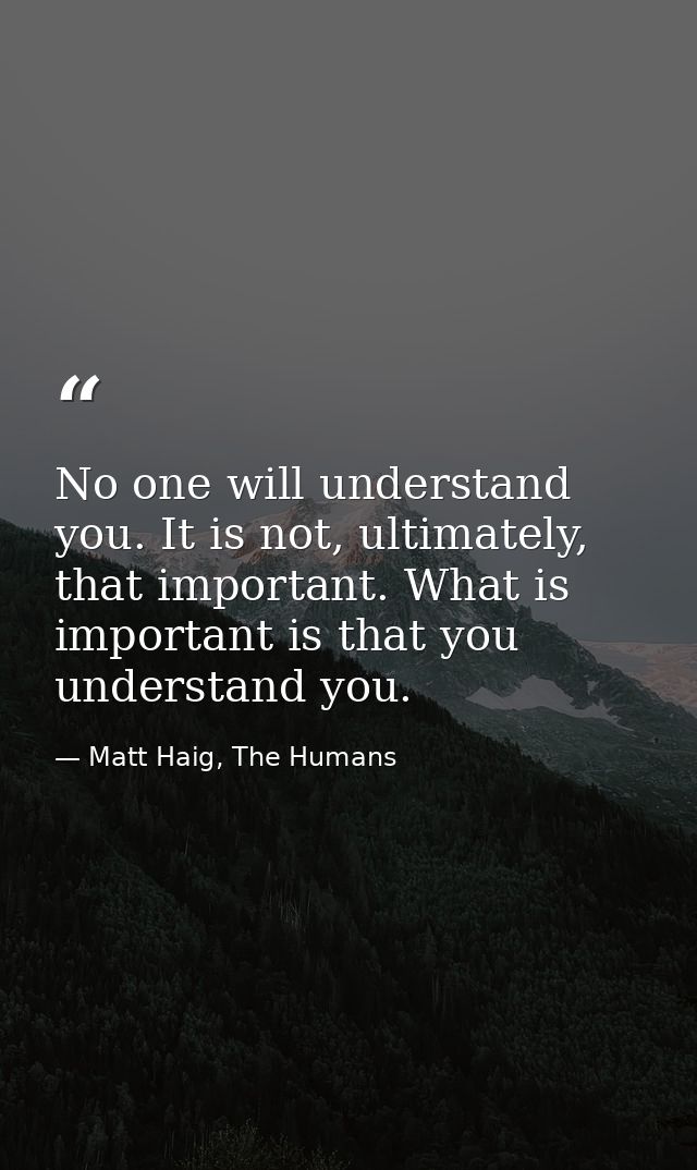 No one will understand you. It is not, ultimately, that important. What is important is that you understand you. — Matt Haig, The Humans