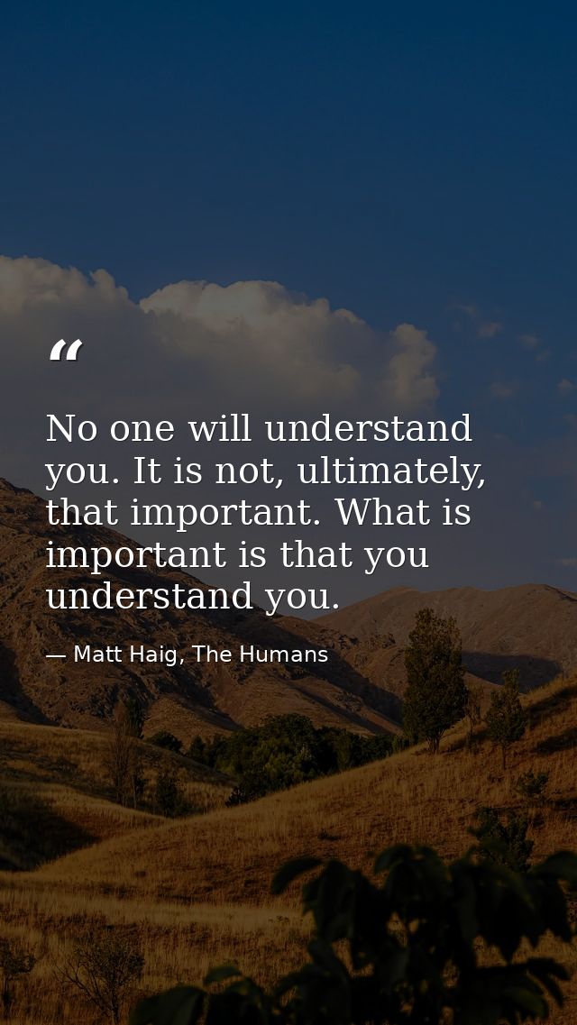 No one will understand you. It is not, ultimately, that important. What is important is that you understand you. — Matt Haig, The Humans