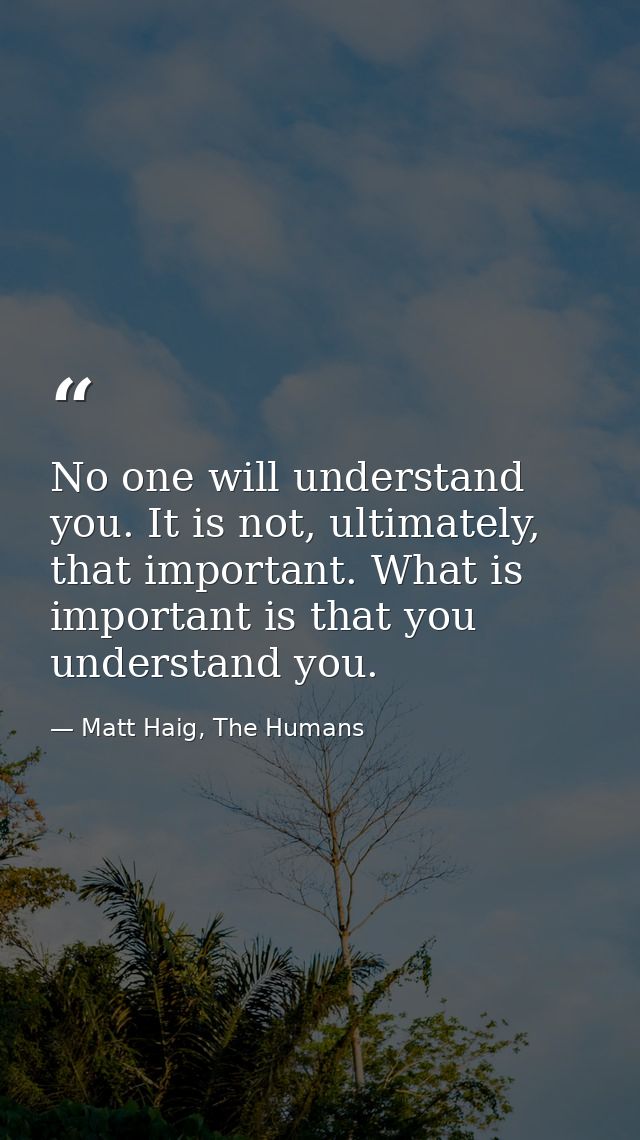 No one will understand you. It is not, ultimately, that important. What is important is that you understand you. — Matt Haig, The Humans