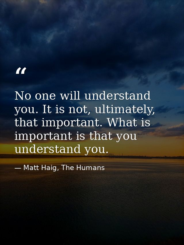 No one will understand you. It is not, ultimately, that important. What is important is that you understand you. — Matt Haig, The Humans