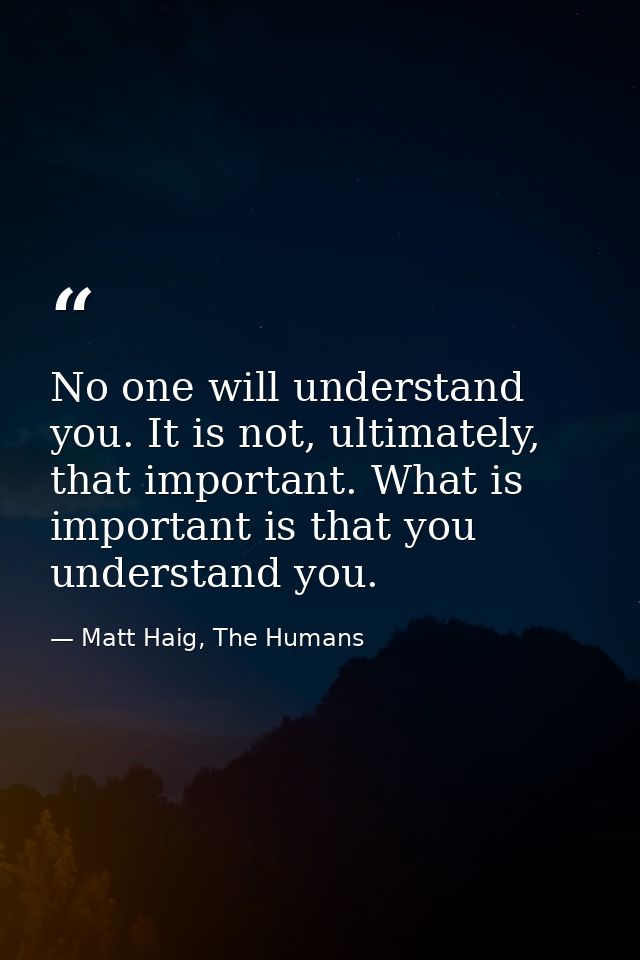 No one will understand you. It is not, ultimately, that important. What is important is that you understand you. — Matt Haig, The Humans