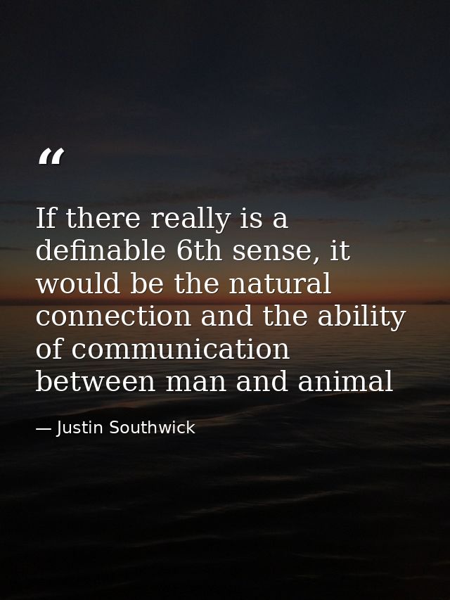 If there really is a definable 6th sense, it would be the natural connection and the ability of communication between ma — Justin Southwick