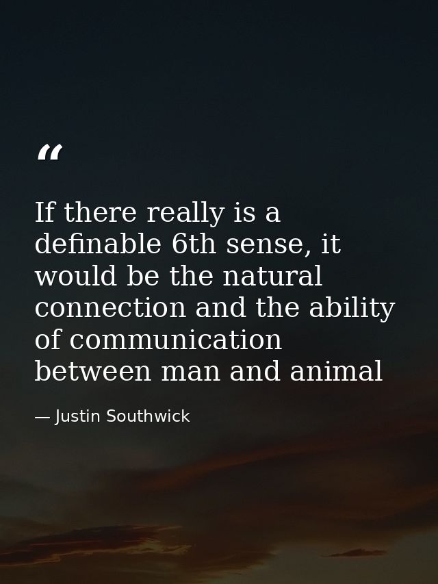 If there really is a definable 6th sense, it would be the natural connection and the ability of communication between ma — Justin Southwick
