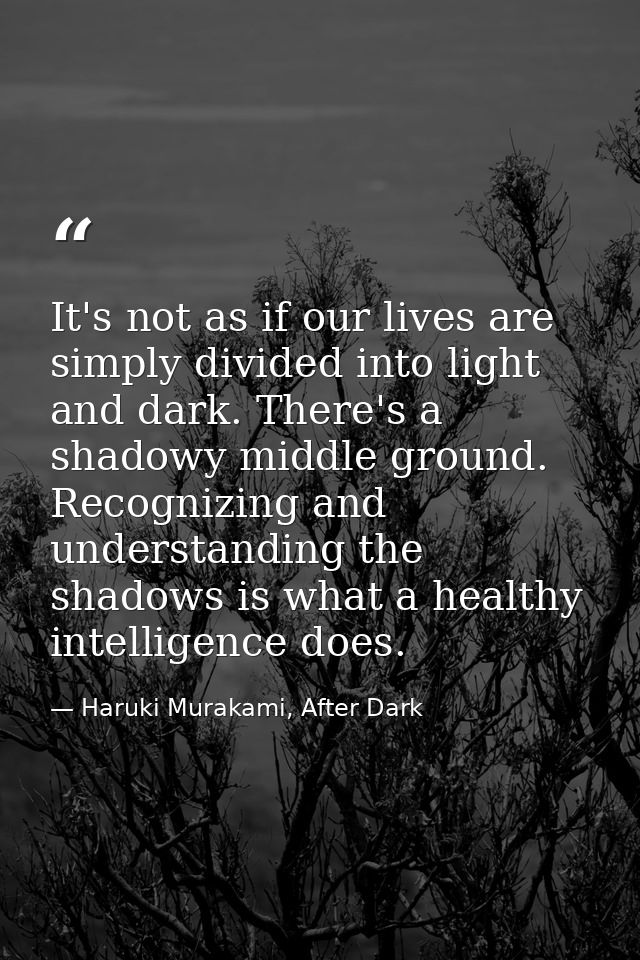 It's not as if our lives are simply divided into light and dark. There's a shadowy middle ground. Recognizing and unders — Haruki Murakami, After Dark