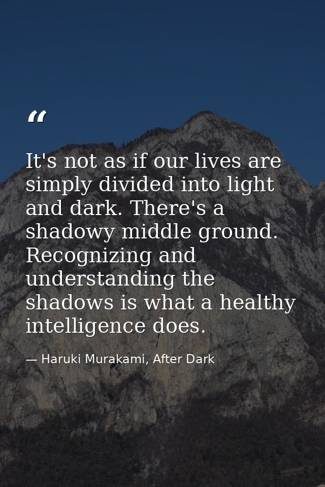 It's not as if our lives are simply divided into light and dark. There's a shadowy middle ground. Recognizing and unders — Haruki Murakami, After Dark