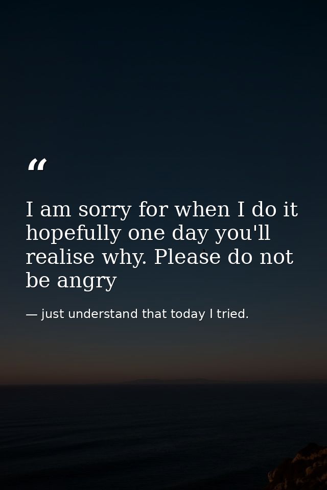 I am sorry for when I do it hopefully one day you'll realise why. Please do not be angry — just understand that today I tried.