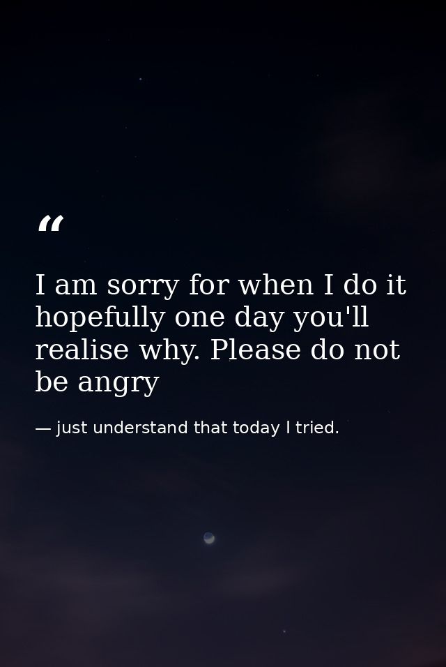 I am sorry for when I do it hopefully one day you'll realise why. Please do not be angry — just understand that today I tried.