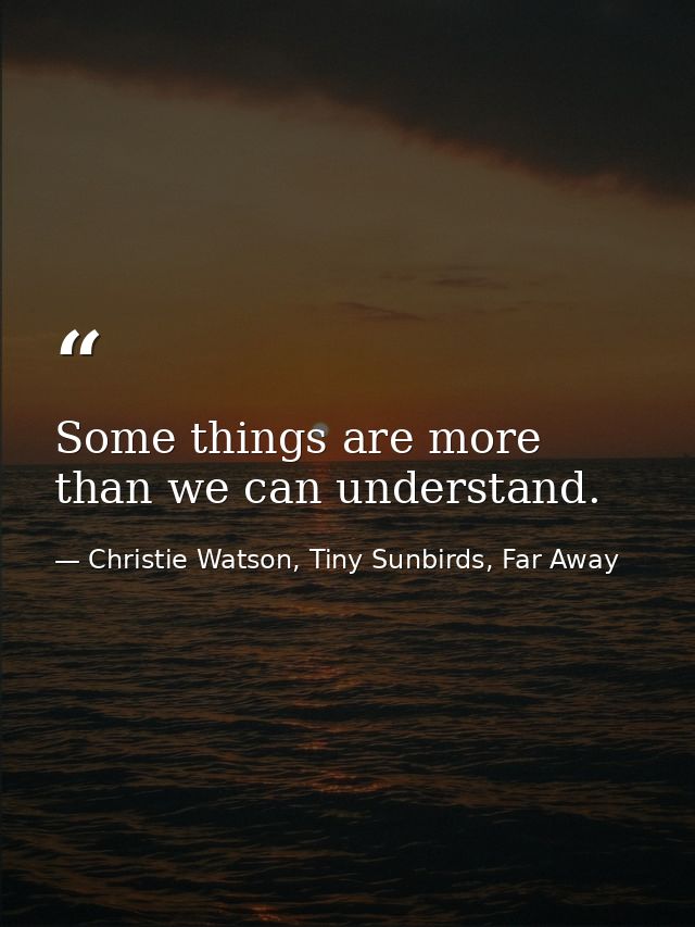Some things are more than we can understand. — Christie Watson, Tiny Sunbirds, Far Away