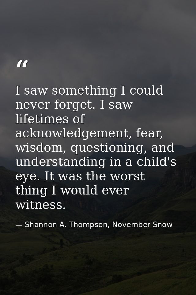 I saw something I could never forget. I saw lifetimes of acknowledgement, fear, wisdom, questioning, and understanding i — Shannon A. Thompson, November Snow