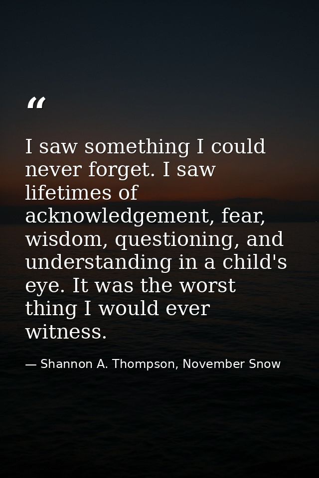 I saw something I could never forget. I saw lifetimes of acknowledgement, fear, wisdom, questioning, and understanding i — Shannon A. Thompson, November Snow