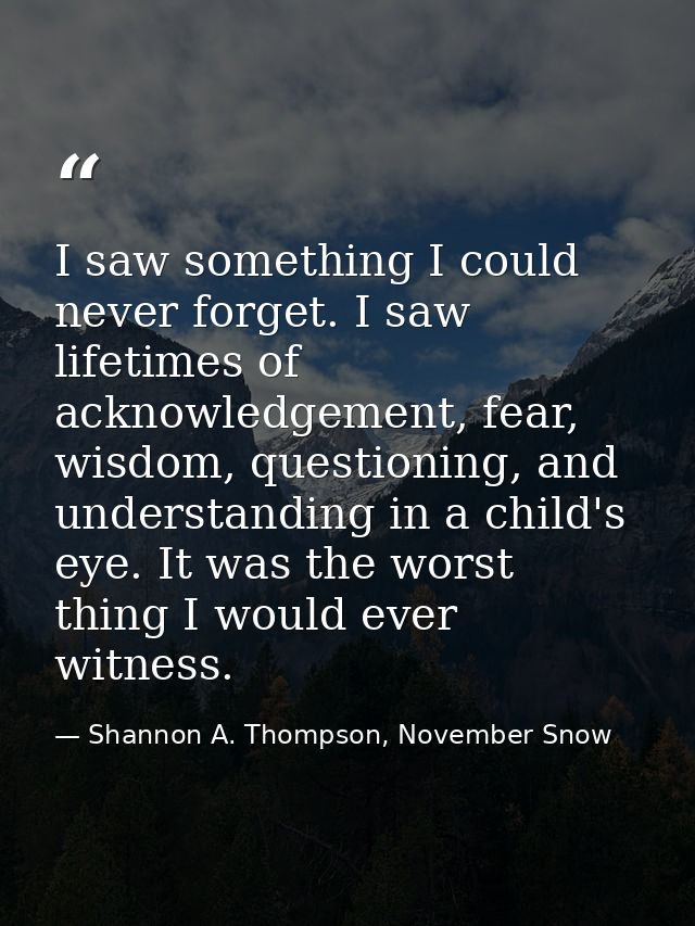 I saw something I could never forget. I saw lifetimes of acknowledgement, fear, wisdom, questioning, and understanding i — Shannon A. Thompson, November Snow