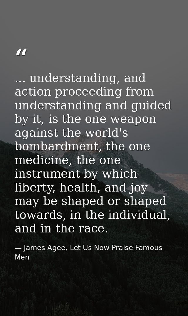 ... understanding, and action proceeding from understanding and guided by it, is the one weapon against the world's bomb — James Agee, Let Us Now Praise Famous Men