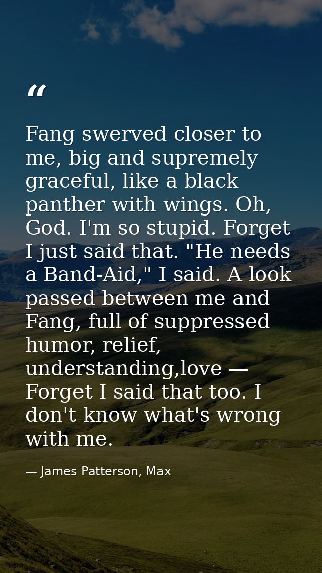 Fang swerved closer to me, big and supremely graceful, like a black panther with wings. Oh, God. I'm so stupid. Forget I — James Patterson, Max