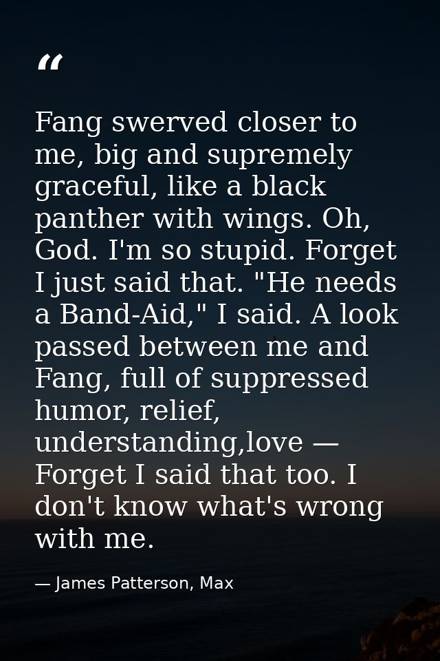 Fang swerved closer to me, big and supremely graceful, like a black panther with wings. Oh, God. I'm so stupid. Forget I — James Patterson, Max