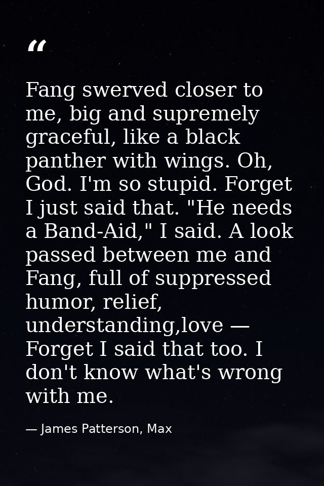 Fang swerved closer to me, big and supremely graceful, like a black panther with wings. Oh, God. I'm so stupid. Forget I — James Patterson, Max