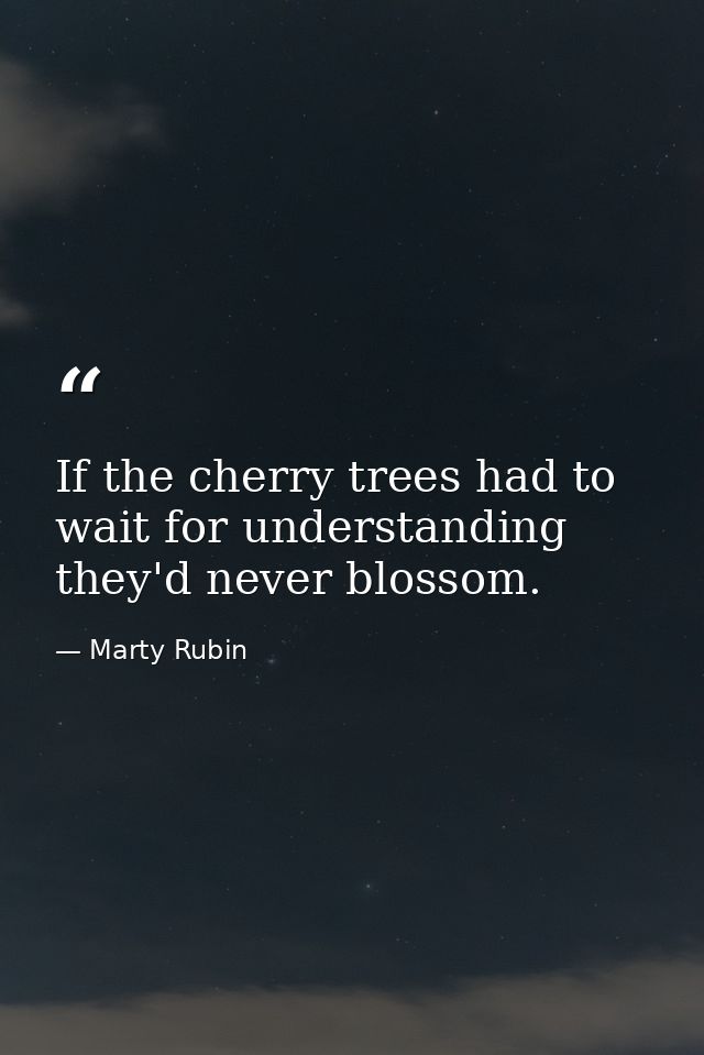 If the cherry trees had to wait for understanding they'd never blossom. — Marty Rubin