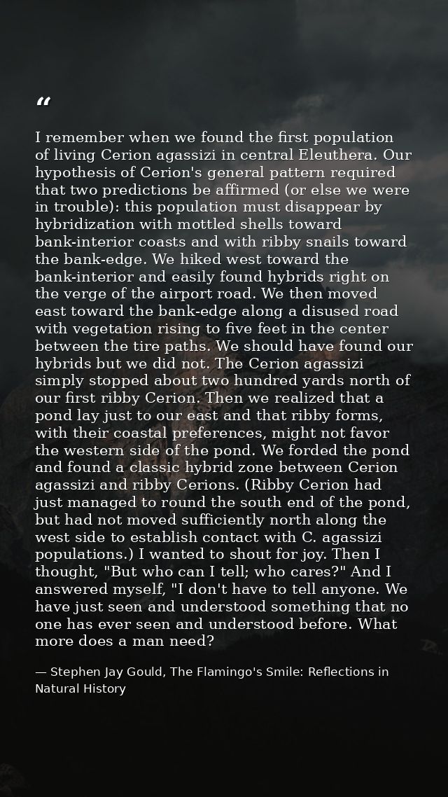 I remember when we found the first population of living Cerion agassizi in central Eleuthera. Our hypothesis of Cerion's — Stephen Jay Gould, The Flamingo's Smile: Reflections in Natural History