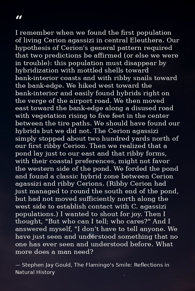 I remember when we found the first population of living Cerion agassizi in central Eleuthera. Our hypothesis of Cerion's — Stephen Jay Gould, The Flamingo's Smile: Reflections in Natural History
